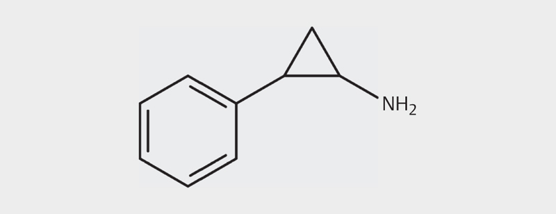 [Psychopharmacotherapy with the MAO-inhibitor Tranylcypromine Key Aspects and Trends in Theory and Practice].