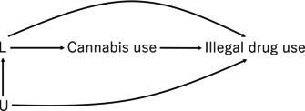Concerns Regarding Masataka et al.'s "Revisiting the Gateway Drug Hypothesis for Cannabis: A Secondary Analysis of a Nationwide Survey Among Community Users in Japan".