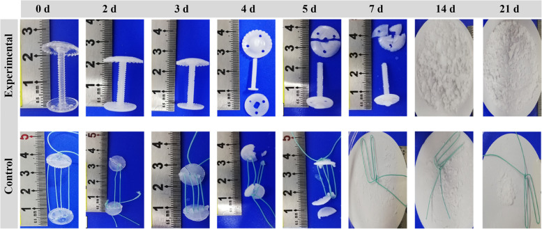 A comparative study of a novel absorbable cranial flap fixation system and Aesculap CranioFix.