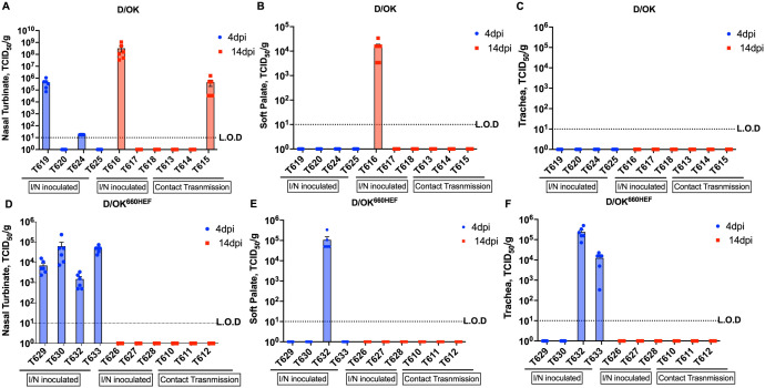 Differential tissue tropism and transmission efficiency of two dominant influenza D clades with overlapping but distinct receptor binding fine specificities in ferrets.