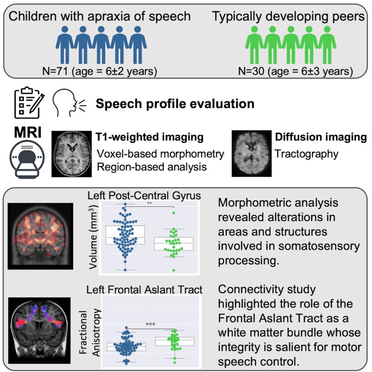 Alterations of the neural substrate in childhood apraxia of speech: new evidence from neuroimaging.