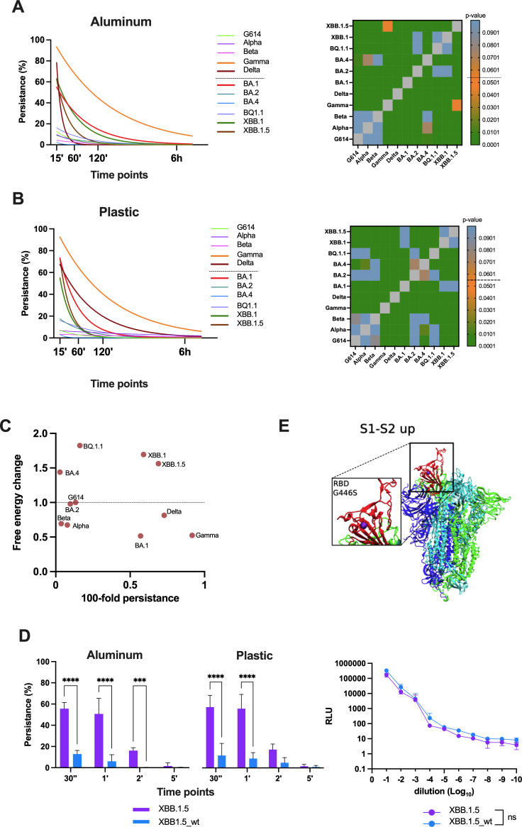 Evaluation of respiratory virus transmissibility and resilience from fomites: the case of 11 SARS-CoV-2 clinical isolates.