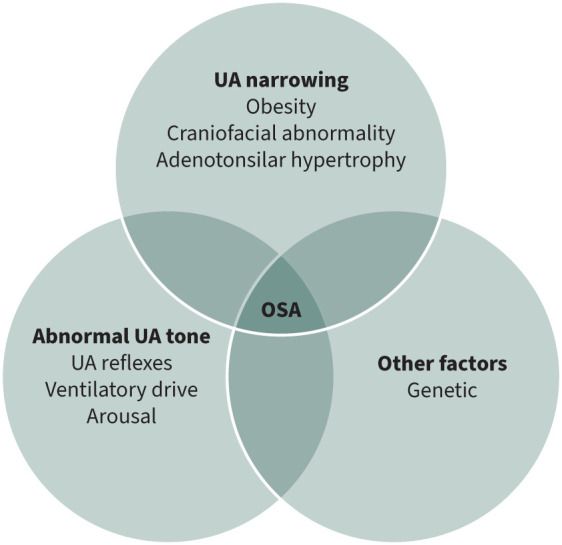 The role of weight management in sleep disordered breathing.