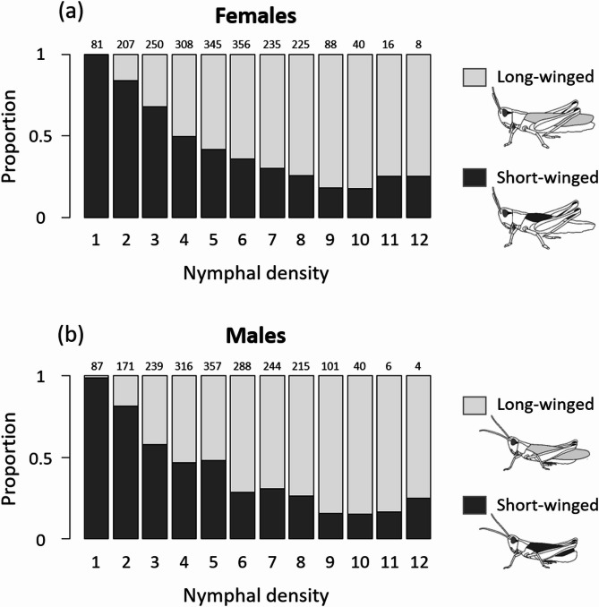 Phenotypic plasticity, heritability, and genotype-by-environment interactions in an insect dispersal polymorphism.