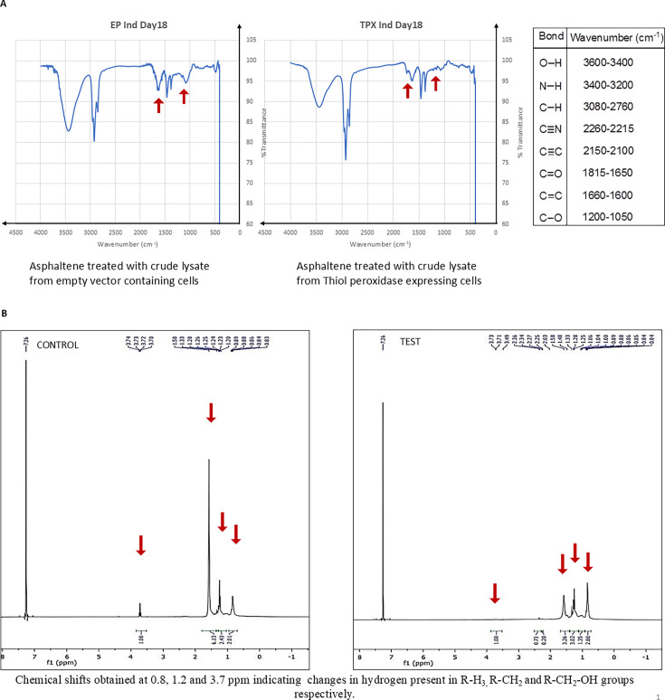 Asphaltene biotransformation by a novel enzyme thiol peroxidase from <i>Micrococcus</i> sp. IITD107.