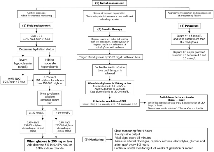 Managing diabetic ketoacidosis in special conditions: Difficulties and dilemmas.