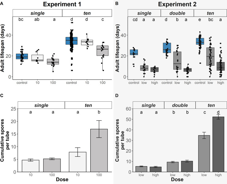 Crowding reduces per-capita parasite infection risk in a butterfly host.