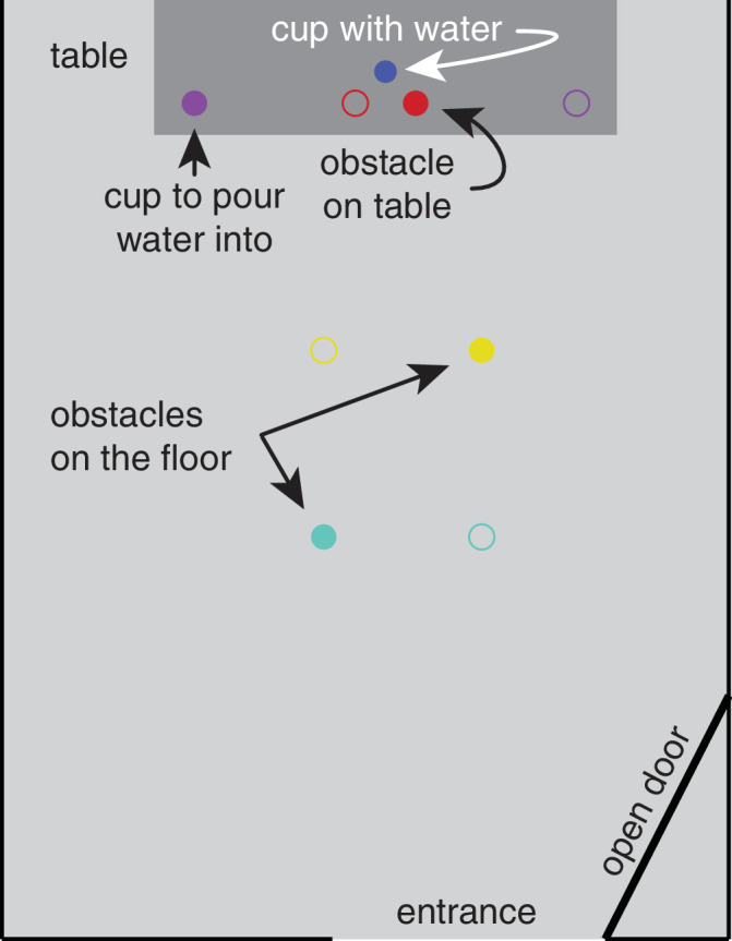 Gaze when walking to grasp an object in the presence of obstacles.