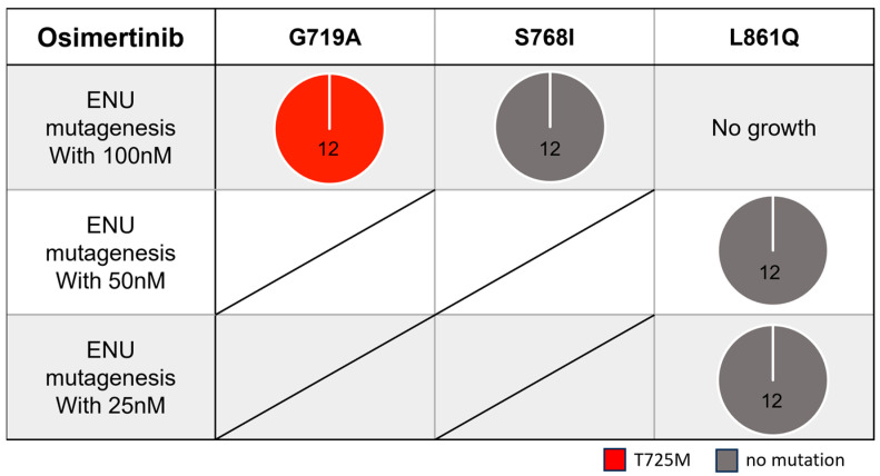 Efficacy of Conventional and Novel Tyrosine Kinase Inhibitors for Uncommon <i>EGFR</i> Mutations-An In Vitro Study.