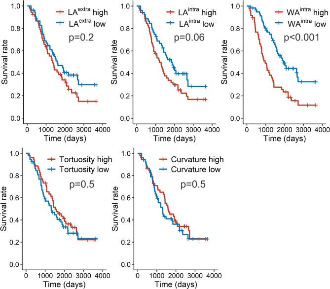 Correction: Computed tomography morphological assessments of central airways in interstitial lung abnormalities and idiopathic pulmonary fibrosis.