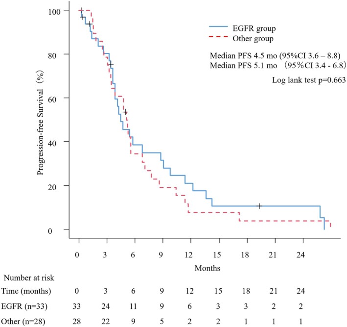 Efficacy of Atezolizumab, Bevacizumab, Carboplatin, and Paclitaxel Therapy in Patients With Genetic Alterations in Non-Small Cell Lung Cancer.