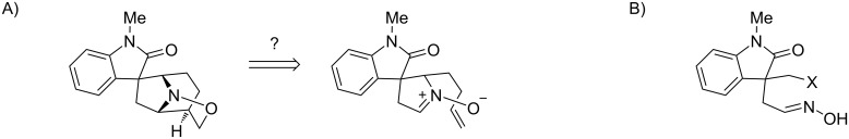 Preparation of spirocyclic oxindoles by cyclisation of an oxime to a nitrone and dipolar cycloaddition.