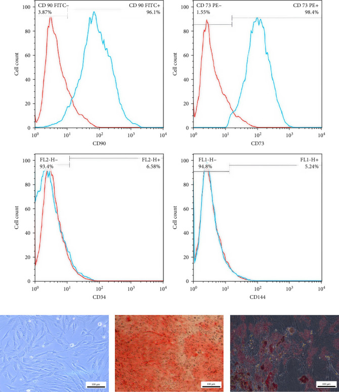 Fabrication of 3D Collagen-Based Decellularized Biological Scaffolds Using Human Wharton's Jelly-Derived Mesenchymal Stem Cells With Differentiation Potential Toward Chondrocytes.