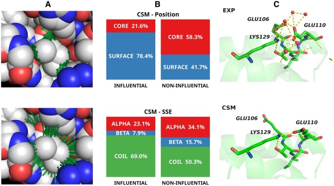 FIBOS: R and python packages for analyzing protein packing and structure.
