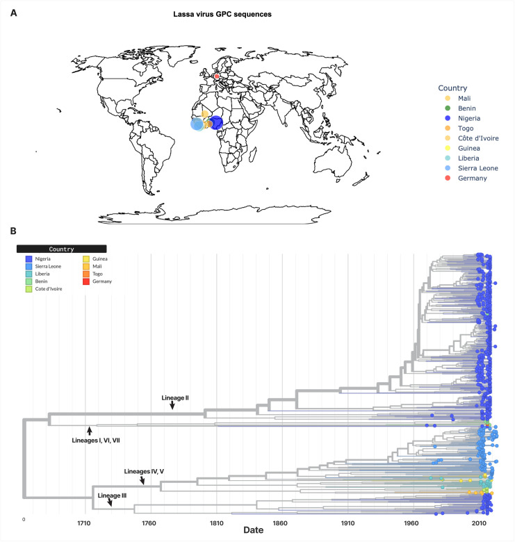 CLASV: Rapid Lassa virus lineage assignment with random forest.