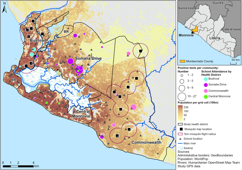 Assessing the need to implement mass drug administration against Wuchereria bancrofti infection using both human serology and xenomonitoring in the urban conurbation of Monrovia, Liberia.