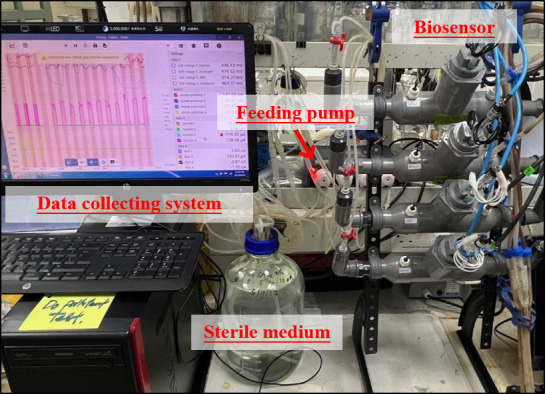 Preconditioned microbial communities in electrochemical sensing: initial assessment of detection capabilities and durability.