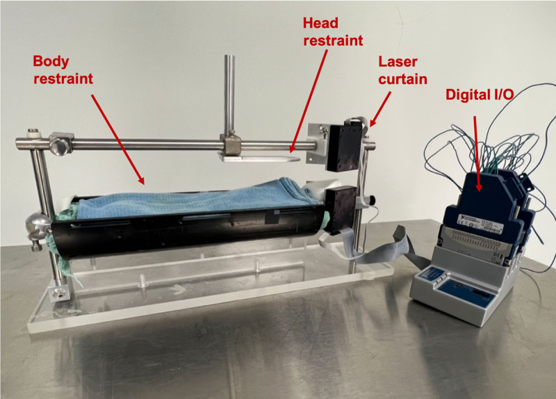Effect of Platelet-rich Plasma and Brief Electrical Stimulation Following Facial Nerve Neurorrhaphy in a Rat Model.