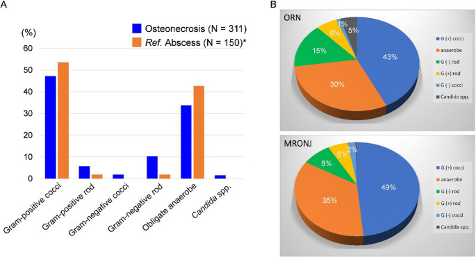 Involvement of resistant bacteria in the severity of refractory osteonecrosis of the jaw.