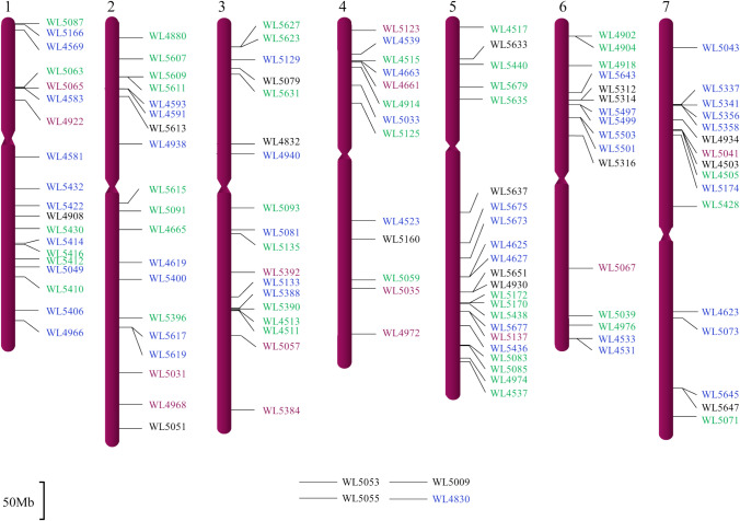 Genomics-enabled dissection of sea wheatgrass genome for advancing wheat genetic resources.