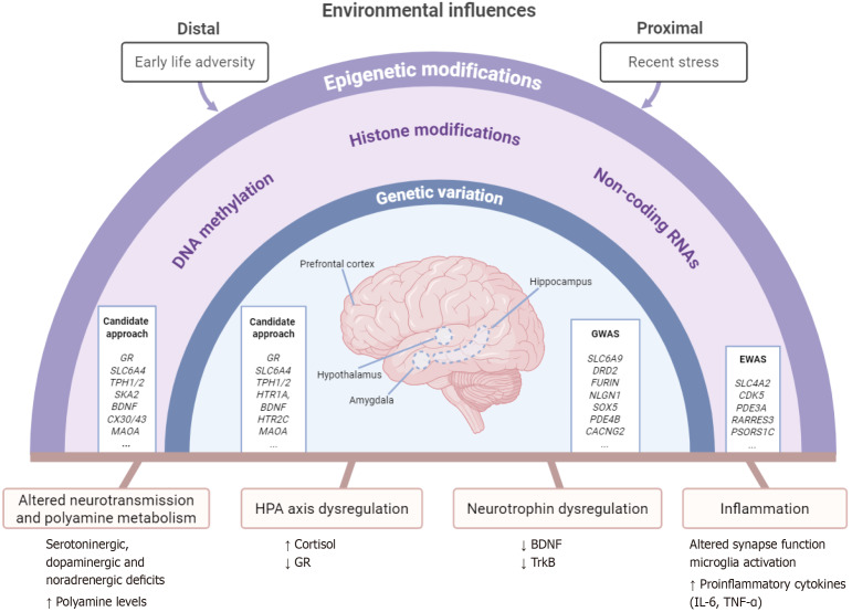 Epigenetics and immunology: Under-recognized aspects of suicidality.