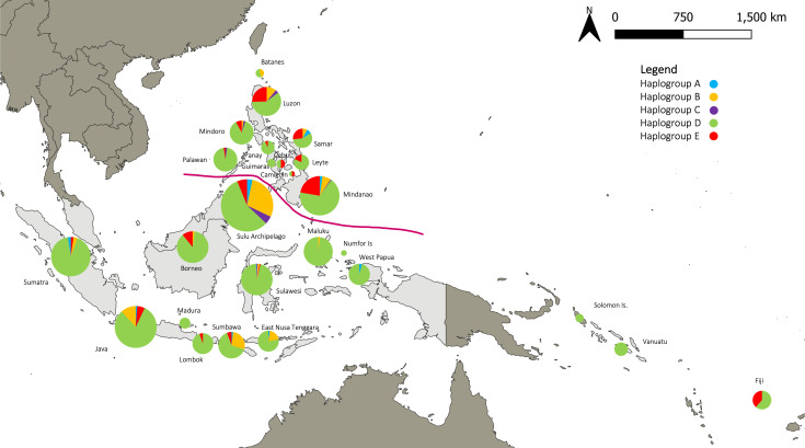 Insights into the mitochondrial DNA genetic diversity and affinities of village chickens from the Sulu Archipelago, Philippines.