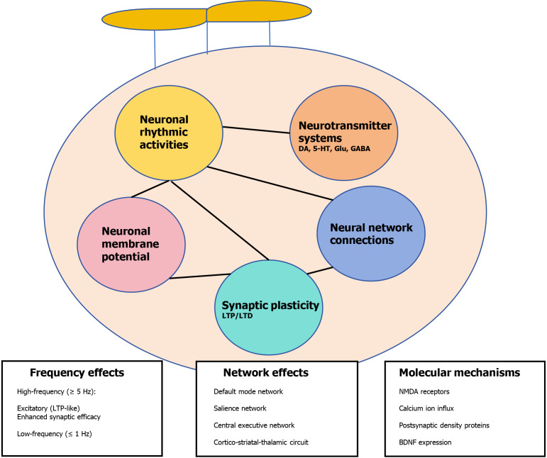 Advances in transcranial magnetic stimulation for psychological symptom management in Parkinson's disease.