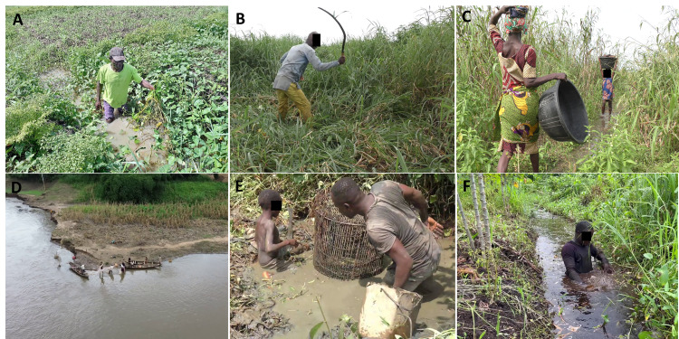 Territorial and gender-linked risk factors for Buruli ulcer in Southern Benin: A case-control study using geographic and behavioral surveying.