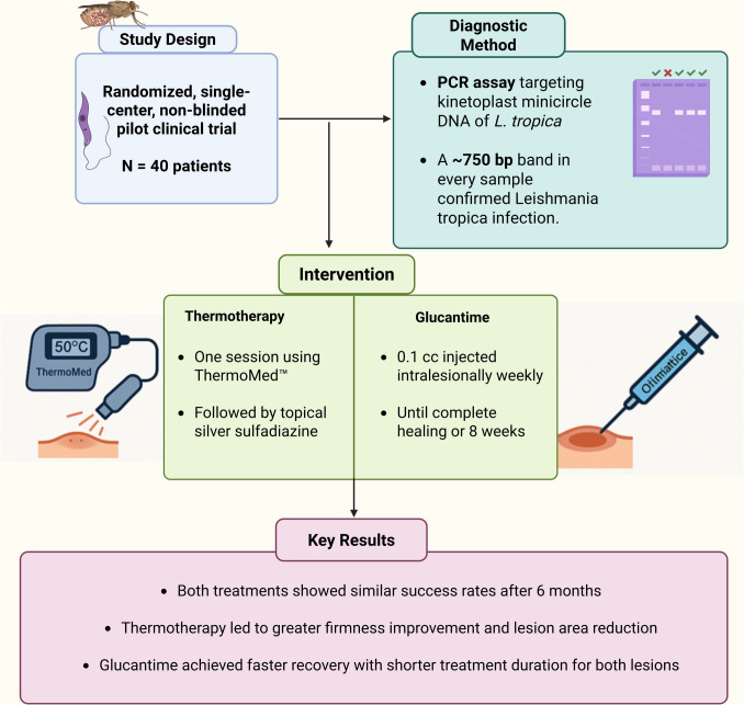 Comparison of the efficacy of local thermotherapy versus Glucantime® in the treatment of anthroponotic cutaneous leishmaniasis: a pilot study.