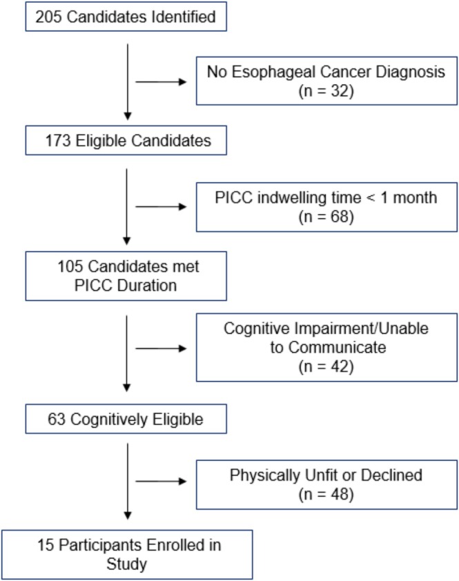PICC Maintenance Challenges Among Esophageal Cancer Patients: A Qualitative Study.