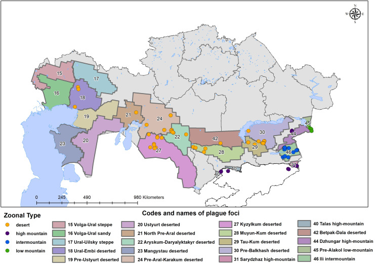 Whole genome sequencing of Yersinia pestis isolates from Central Asian natural plague foci revealed the role of adaptation to different hosts and environmental conditions in shaping specific genotypes.