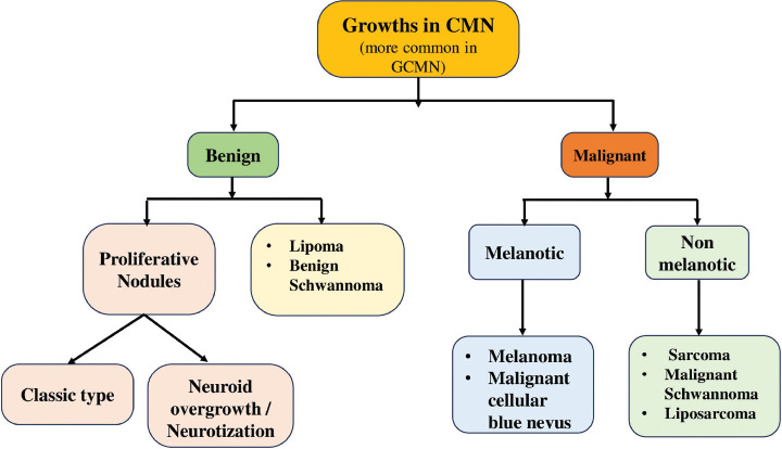 Neuroid Overgrowth Proliferative Nodule in Congenital Melanocytic Nevus: A Rare Occurrence.