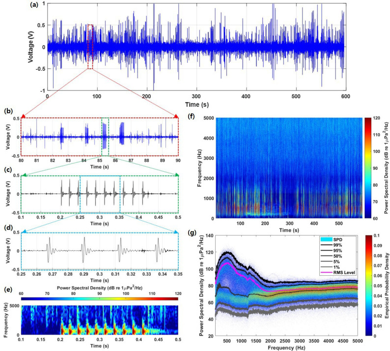 Passive acoustic monitoring of sound characteristics and vocalization patterns of the brown croaker.
