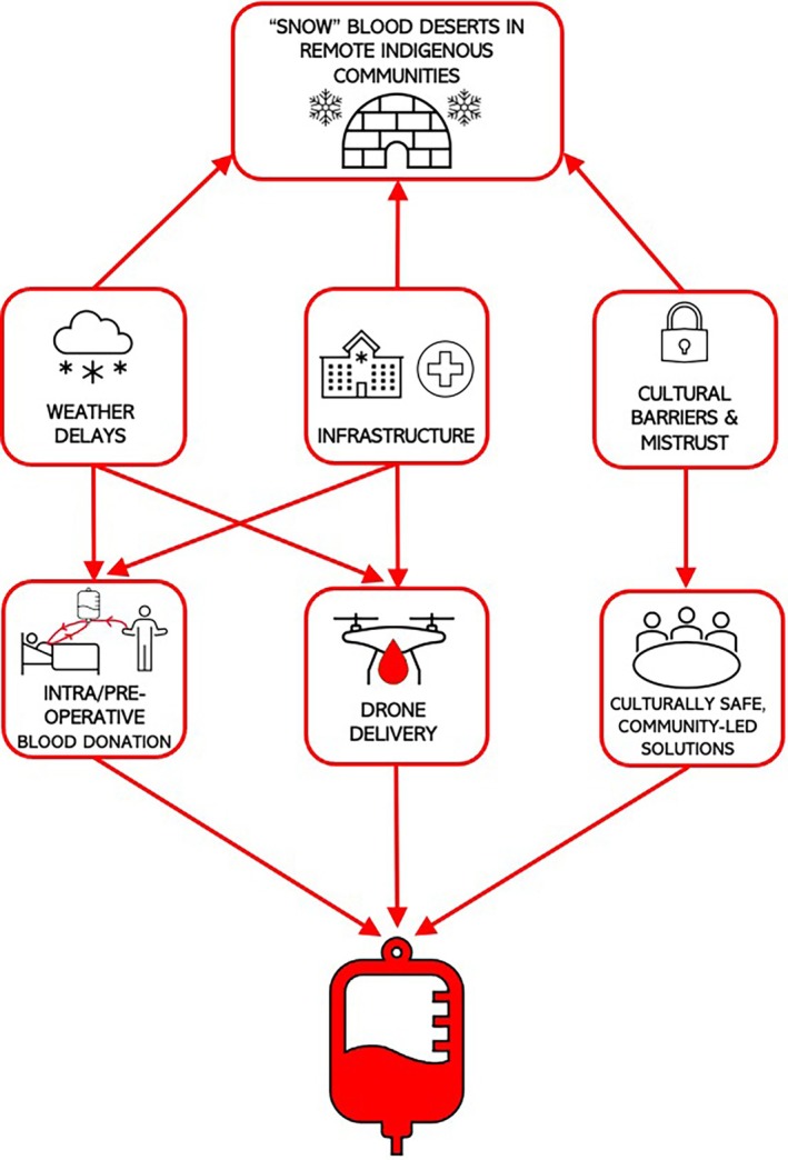 Blood deserts in a universal health system: Addressing structural inequities in northern Canada.
