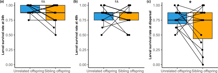 Kinship as a double-edged sword: relatedness among burying beetle larvae enhances growth but increases mortality.