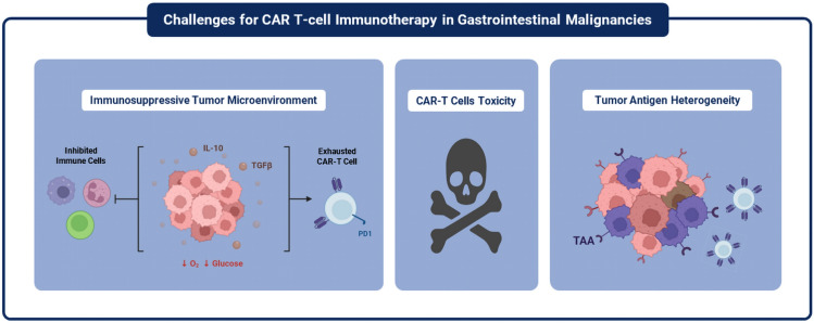Chimeric antigen receptor T-cell (CAR T-cell) and tumor-infiltrating lymphocytes (TILs) therapies in gastrointestinal malignancies: review of literature for clinical applications.