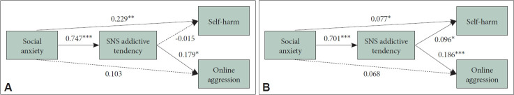 Online Aggressive Behavior, Self-Harm Behavior, and Social Anxiety: The Mediating Effect of Social Network Sites Addictive Tendency and the Moderating Effect of Sex.