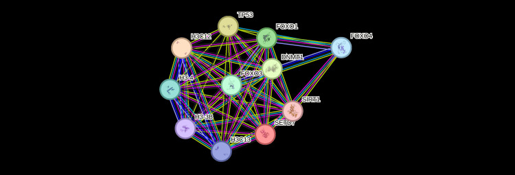 SETD7 Dual Role in Disease and Opportunities for Therapeutic Intervention: Current Perspectives.