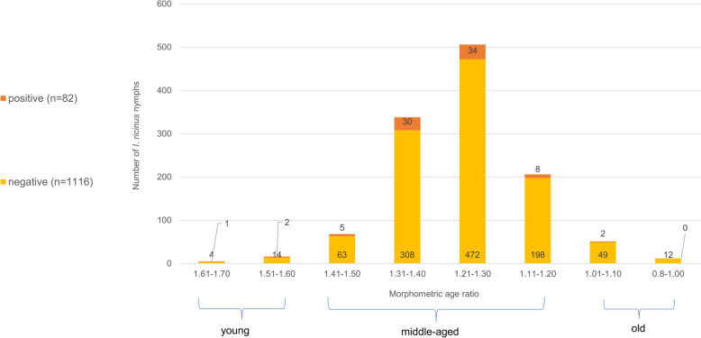 Influence of tick age and land-use on Borrelia burgdorferi s.l. in Ixodes ricinus ticks from the Swabian Alb, Germany.