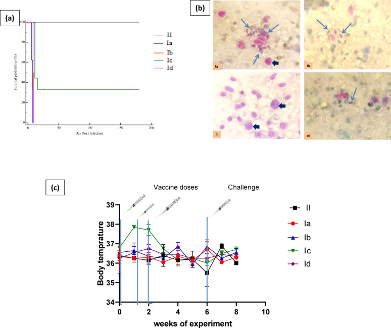 Correction: Comparative evaluation of live attenuated and killed tachyzoites as vaccine candidates for toxoplasmosis.