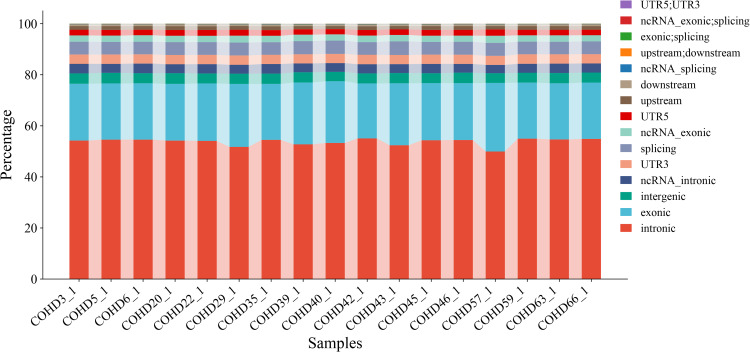Whole Exome Sequencing Reveals Novel Genetic Variants Associated with Atrial Septal Defect in a Tibetan Patient Cohort.