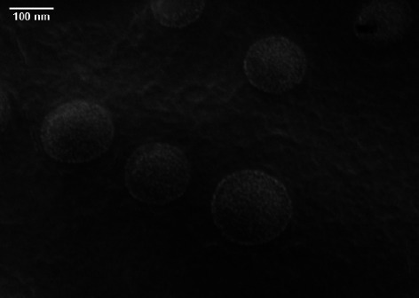 The Inhibitory Effect of Niosome Containing Myrtenol as an Innovative Approach to Combat Methicillin-Resistant <i>Staphylococcus aureus</i> (MRSA).