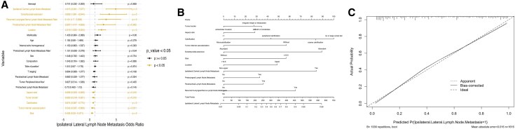 Machine Learning: A Multicenter Study on Predicting Lateral Lymph Node Metastasis in cN0 Papillary Thyroid Carcinoma.
