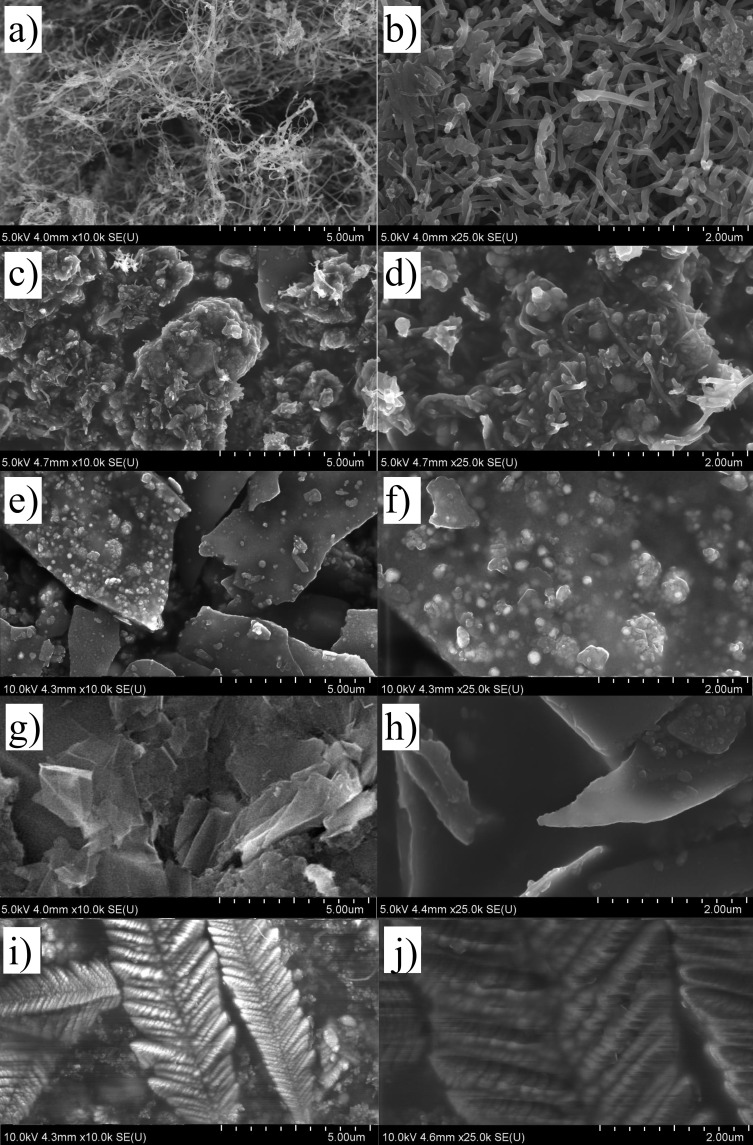 Alternative Metallocenes in Floating Catalyst-CVD: Synthesis of Novel Carbon Nanostructures.