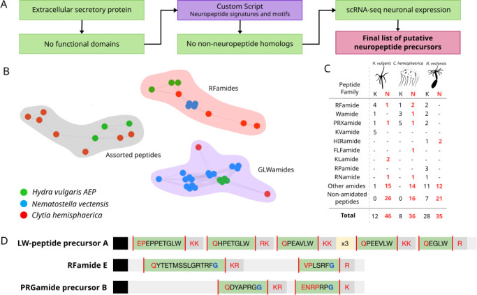 An <i>in silico</i> pipeline identifies new neuropeptides and reveals a non-amidated regulator of muscle contraction in the freshwater cnidarian <i>Hydra</i>.