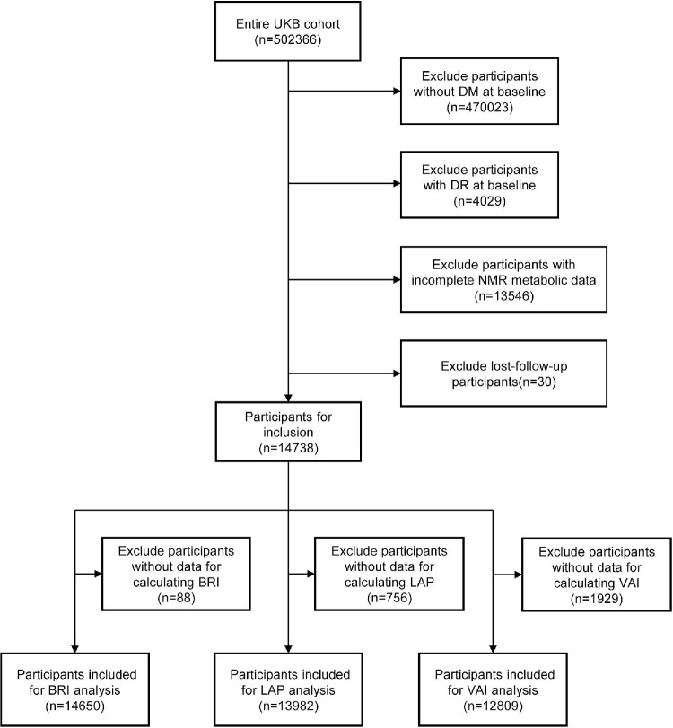 Novel Visceral Obesity Indicators and Associated Metabolic Fingerprint in Incident Diabetic Retinopathy.