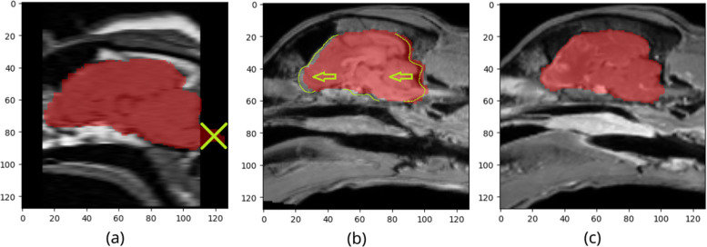 Automated brain extraction for canine magnetic resonance images.