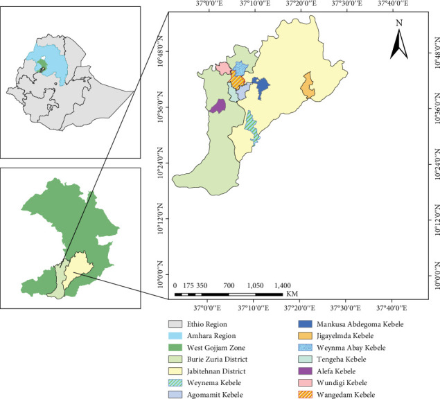 Understanding the Impact of Livelihood Diversification on Food Security Among Smallholder Farmers in West Gojjam Zone, Amhara Region, Ethiopia.