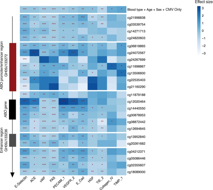 Altered DNA methylation of the ABO gene is associated with differential plasma levels of von willebrand factor and E-selectin.