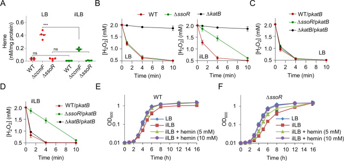 Regulation of iron homeostasis by Fur and atypical response regulator SsoR via derepressor-inhibitor oscillation in <i>Shewanella oneidensis</i>.